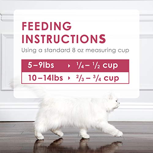 Purina Fancy Feast Dry Cat Food Filet Mignon Flavor with Seafood and Shrimp - 7 lb. Bag-UPStoxs