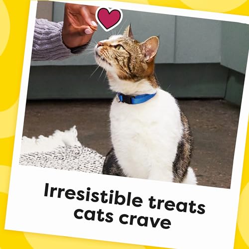 Temptations Classic Crunchy and Soft Cat Treats Tasty Chicken Flavor, 30 oz. Tub-UPStoxs