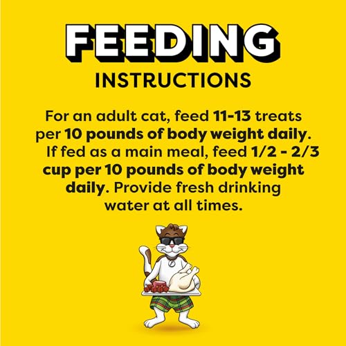 Temptations MixUps Backyard Cookout Flavor Crunchy and Soft Cat Treats, 16 oz. Tub-UPStoxs