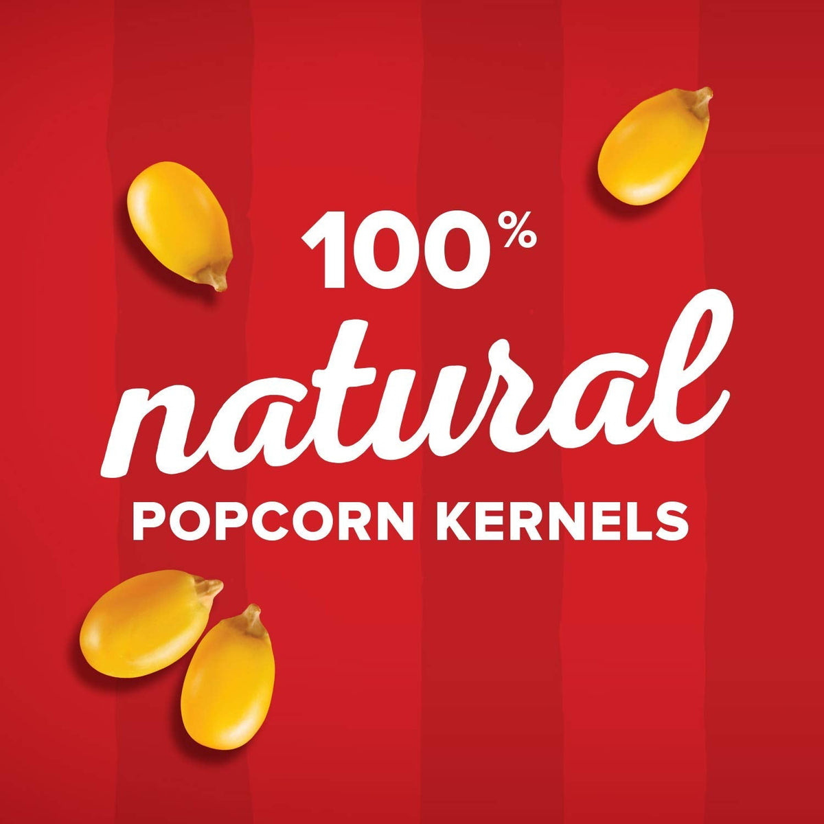 Orville Redenbacher's Original Gourmet Popping Corn Kernels, 8 lb.-UPStoxs