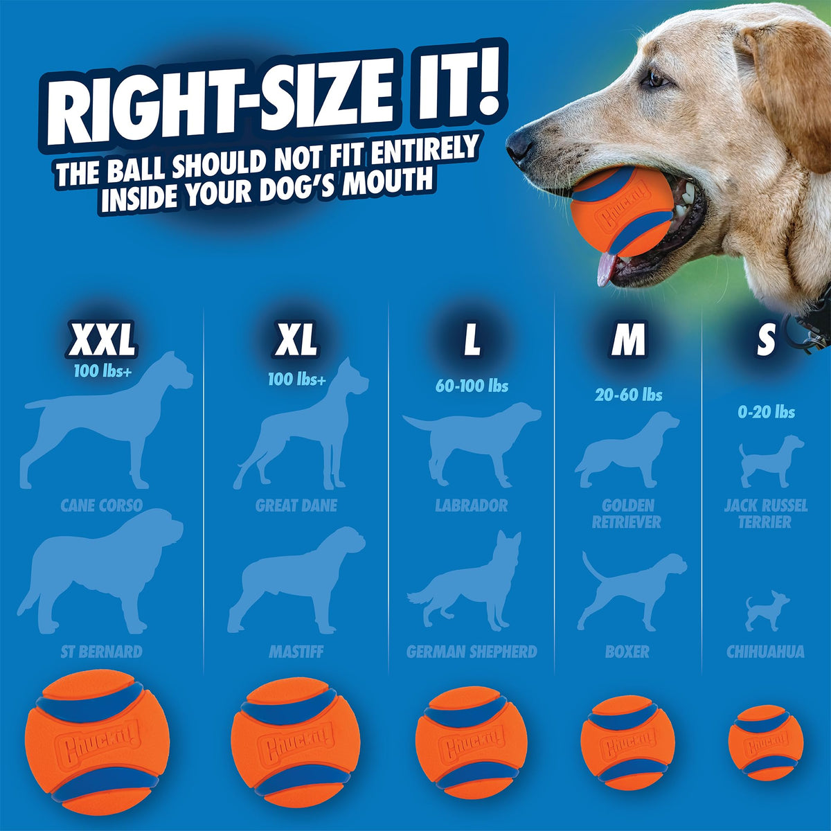 Chuckit Ultra Ball Dog Toy, Medium (2.5 Inch Diameter) Pack of 2, for breeds 20-60 lbs-UPStoxs