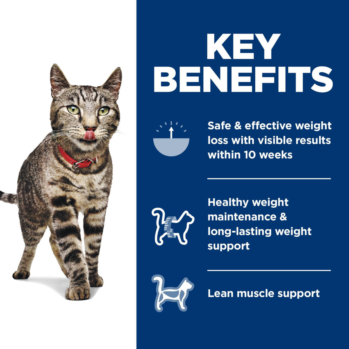 Hill's Science Diet Perfect Weight, Adult 1-6, Weight Management Support, Dry Cat Food, Chicken Recipe, 3 lb Bag-UPStoxs