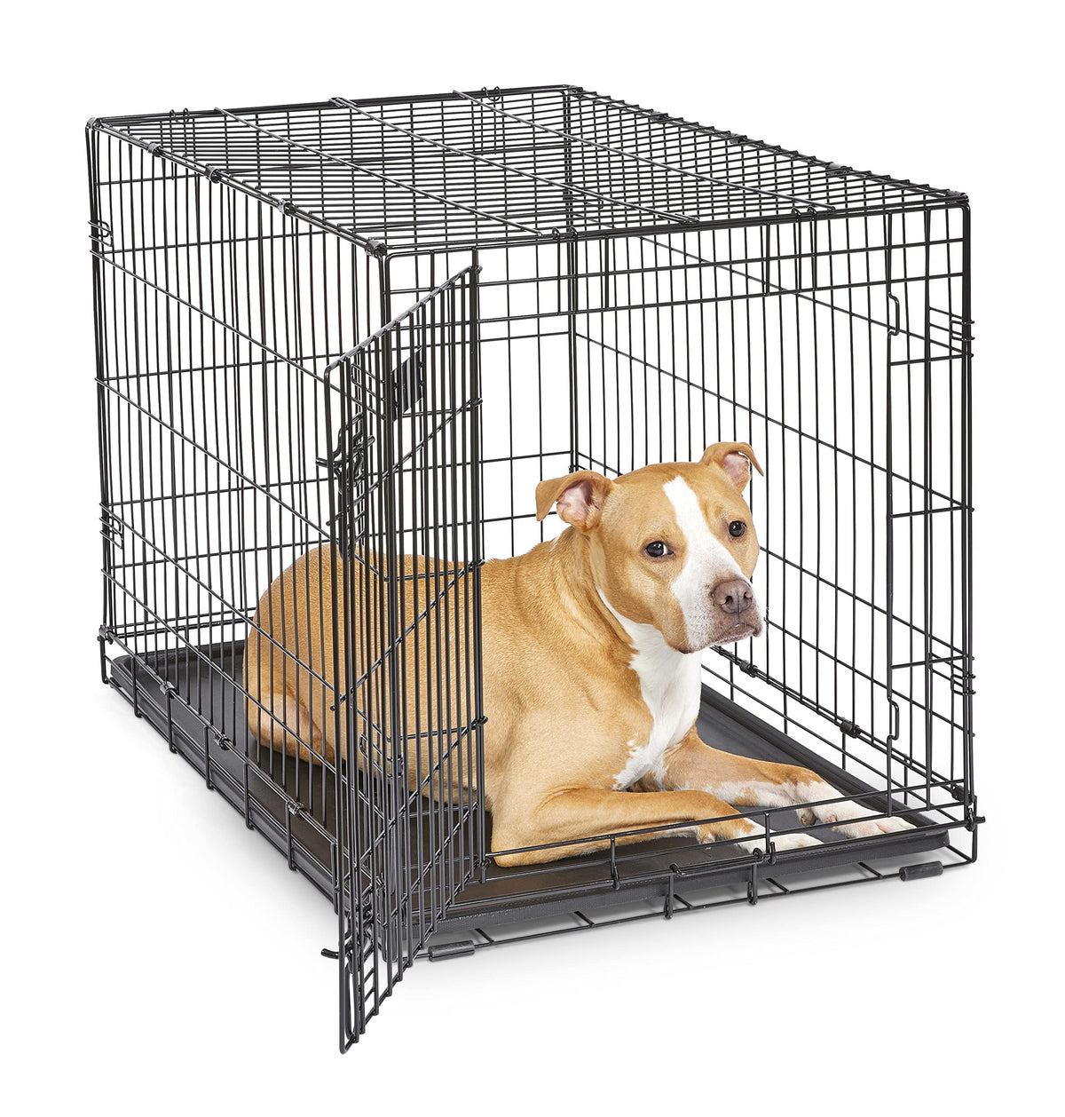 MidWest Homes for Pets Newly Enhanced Single Door iCrate Dog Crate, Includes Leak-Proof Pan, Floor Protecting Feet , Divider Panel & New Patented Features, Black-UPStoxs