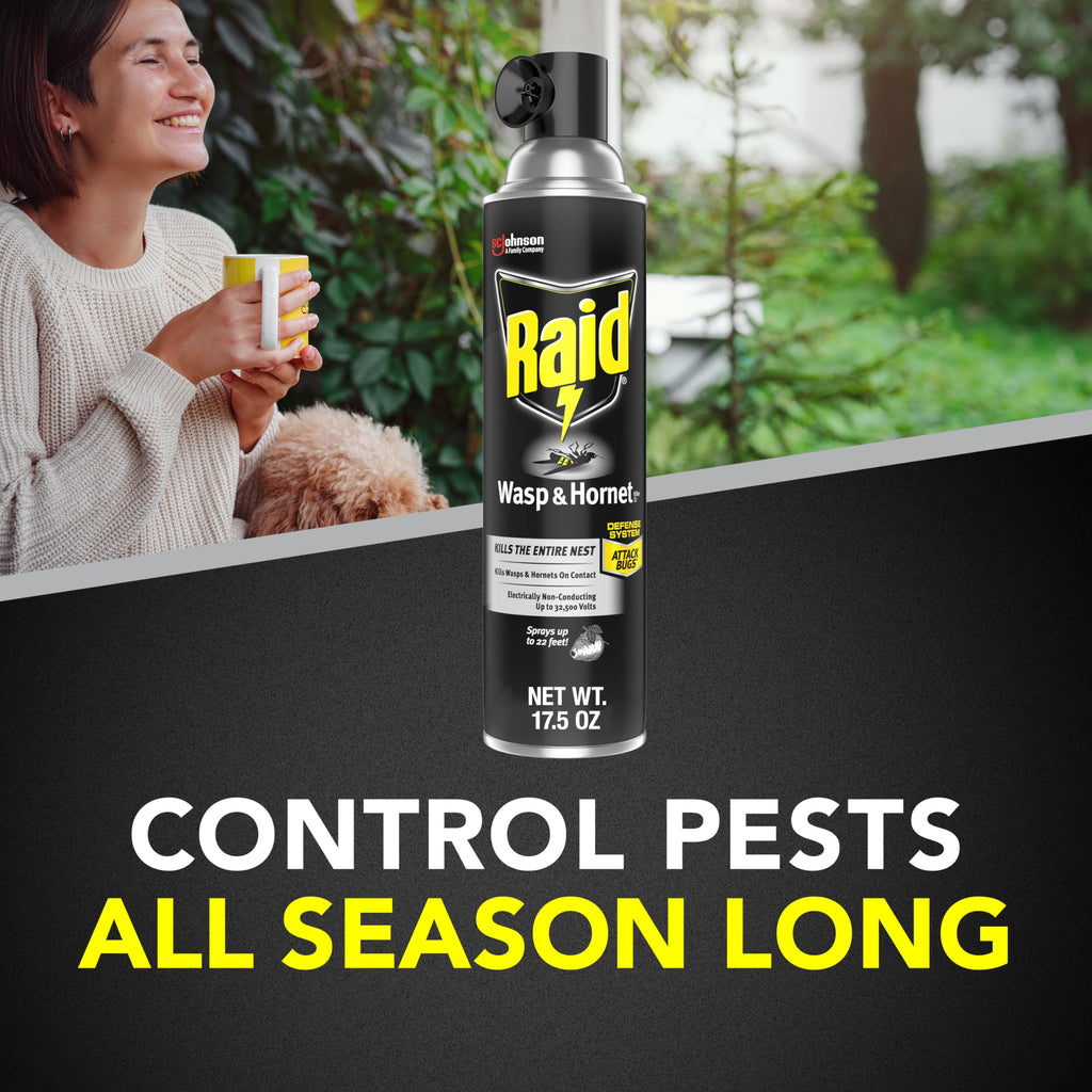 Raid Wasp & Hornet Killer Spray, Bug Killer Kills the Entire Nest, 14 Oz, 2 Count-UPStoxs