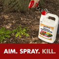 Spectracide Weed & Grass Killer, Use On Driveways, Walkways and Around Trees and Flower Beds, 1 Gallon (RTU Spray)-UPStoxs